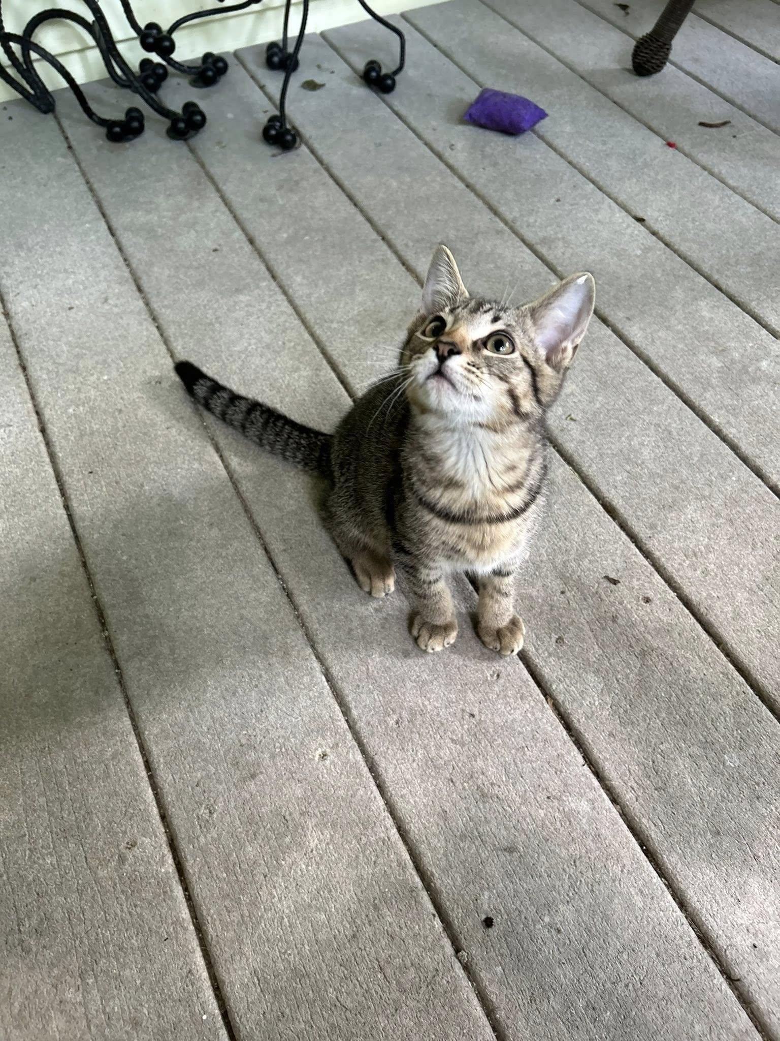 Finn photo 2