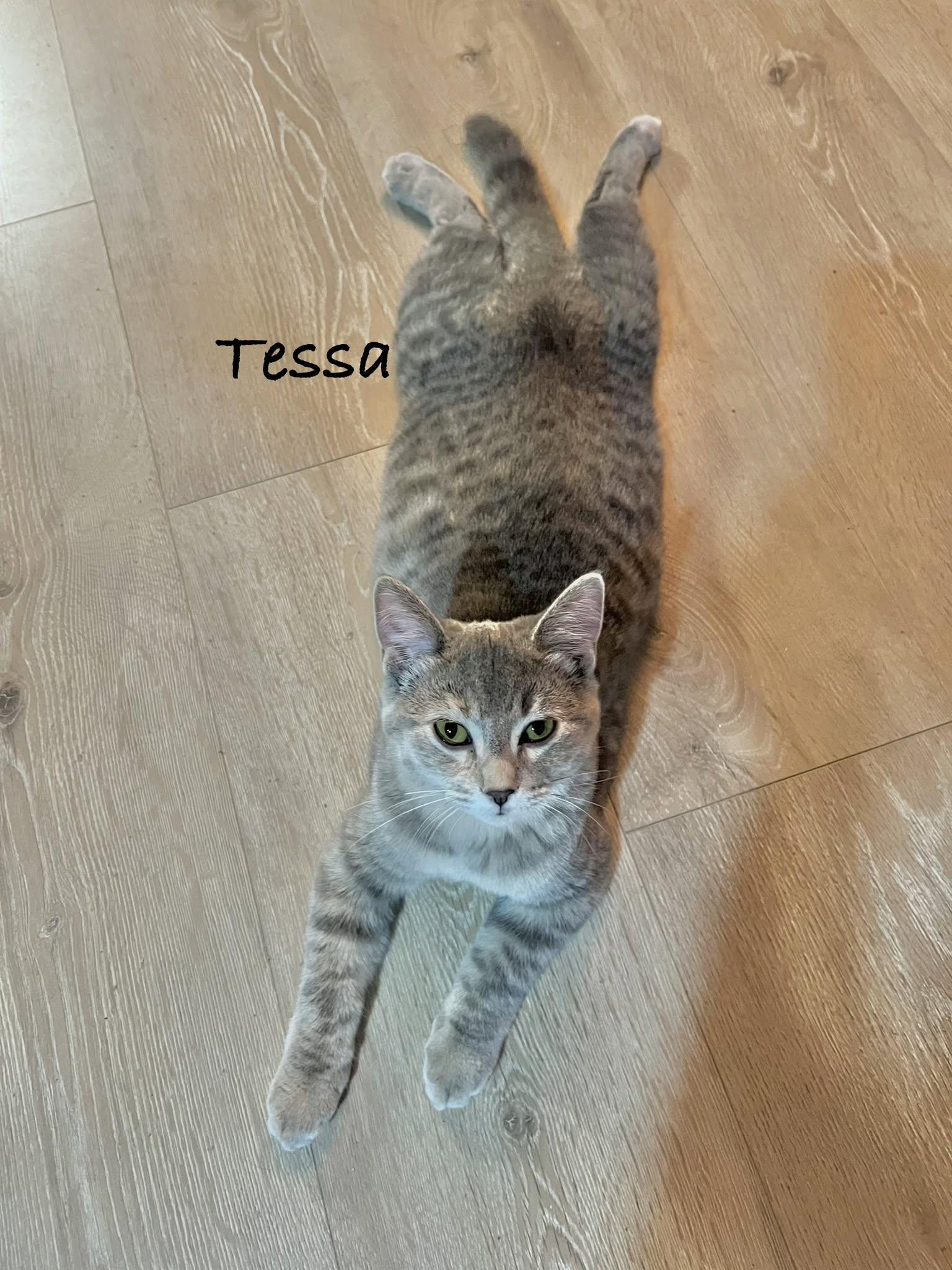 Tessa