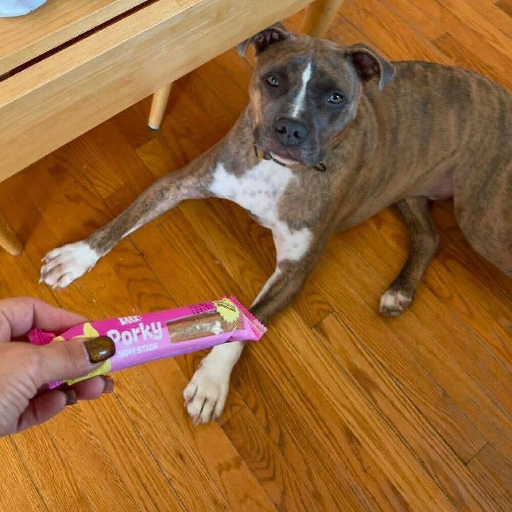 Hatcher (GA), a Adoptable Boxer in New York, NY image 1/3