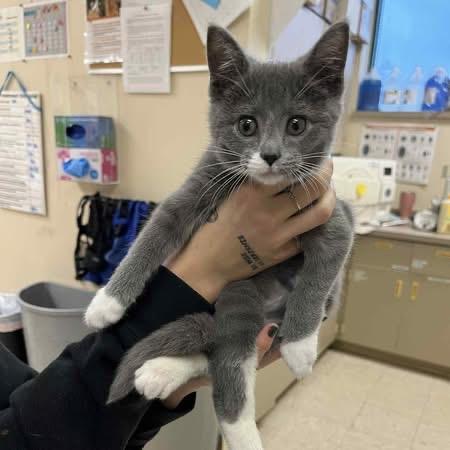 Nemo Ask to Meet!! In Foster!!