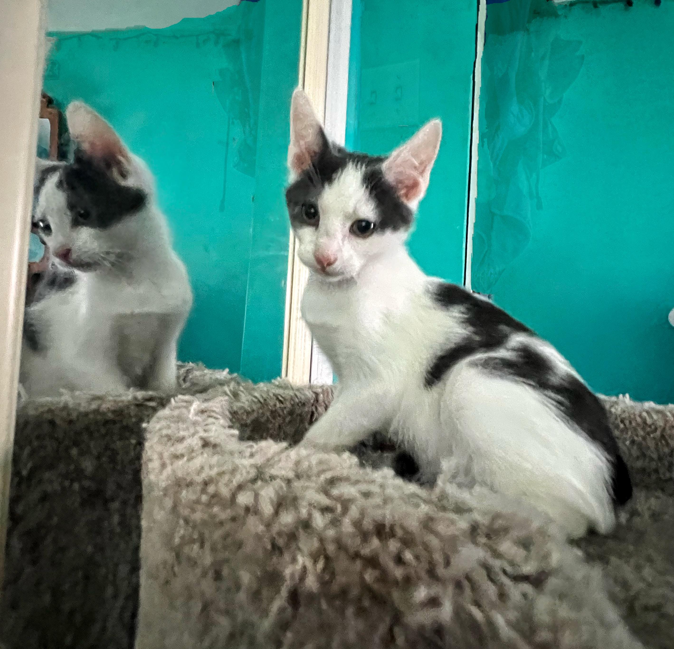 Marbles