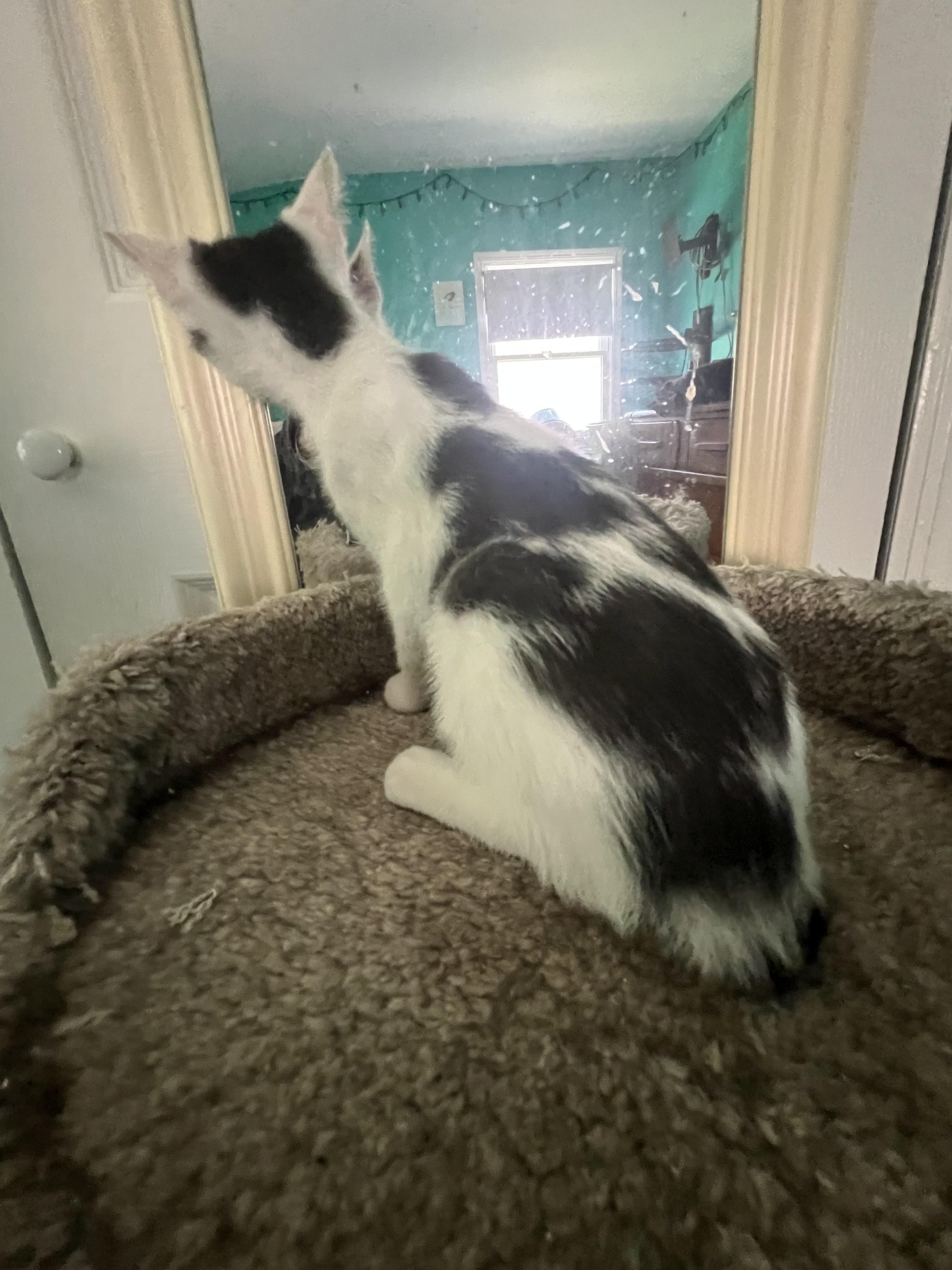 Marbles