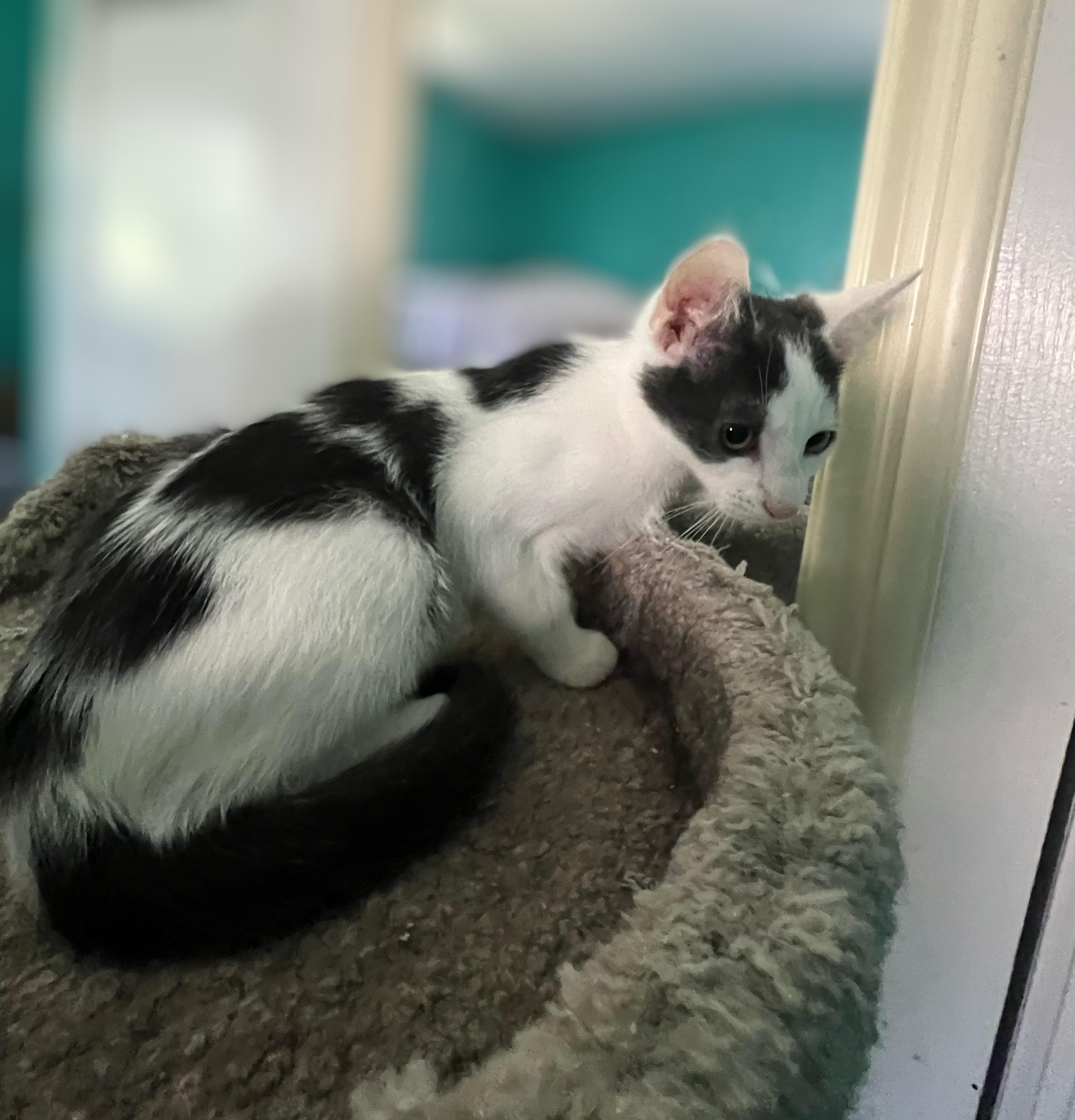 Marbles