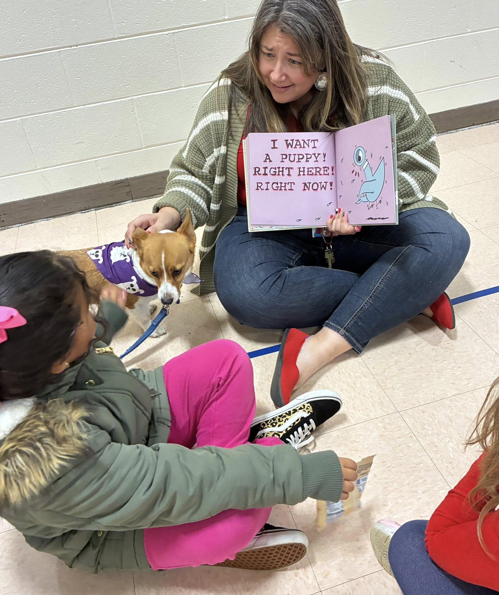 Enlarge Bella, an adopted mixed breed in Landenberg, PA image 2/4