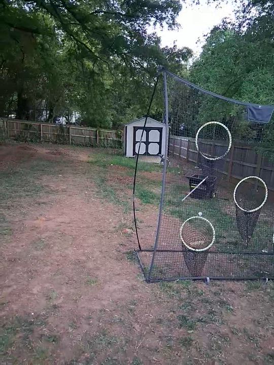 Enlarge Finn, a ADOPTABLE mixed breed in Denver, NC video 6/6