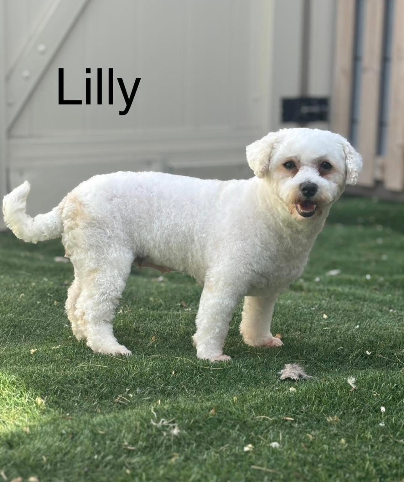 Daisy & Lilly