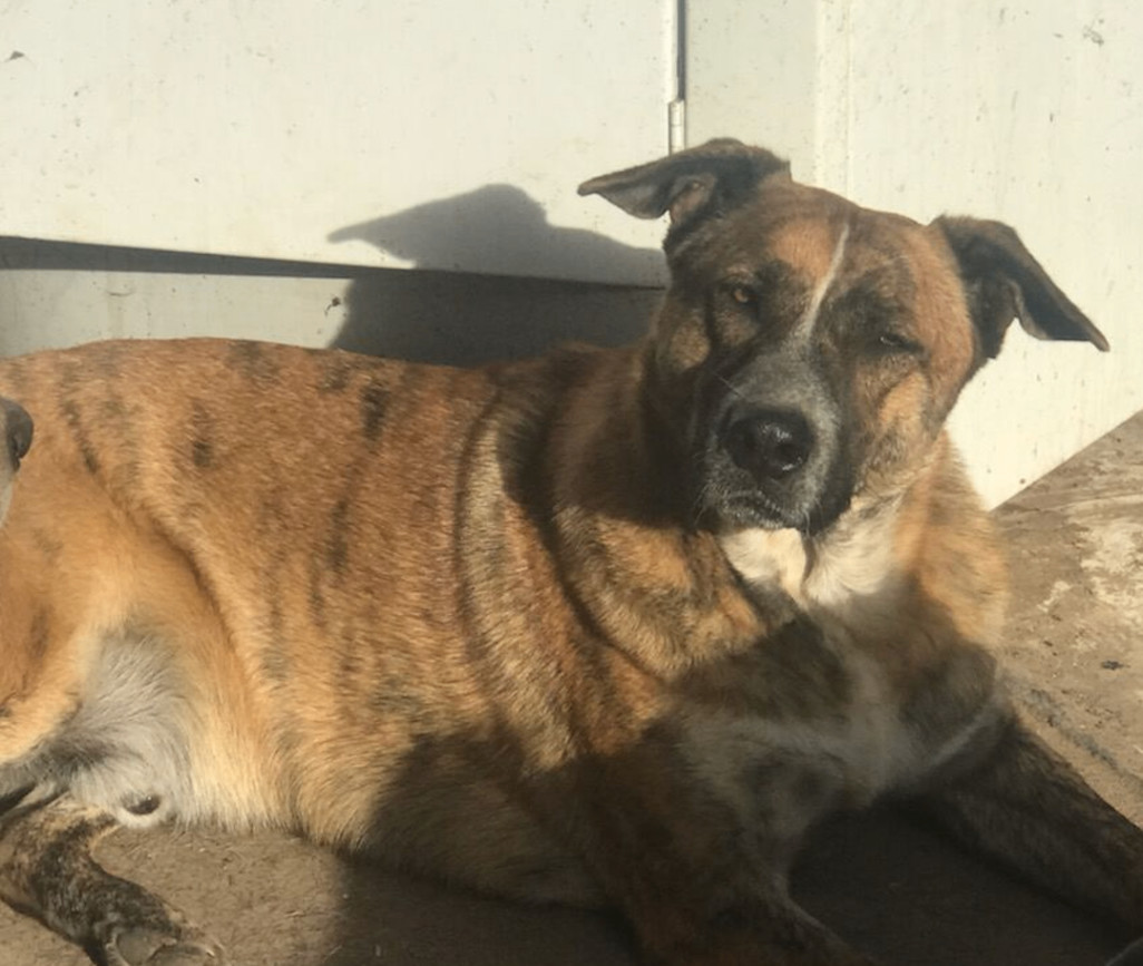 Waylon photo 1