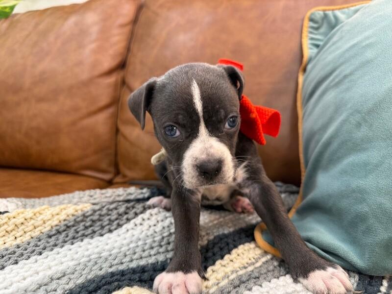 Mimi Love — thumbnail 2