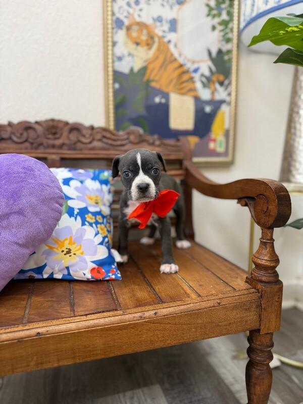 Mimi Love — thumbnail 3