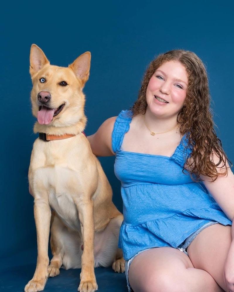 Enlarge Atlas, a Adoptable mixed breed in Tulsa, OK image 1/6