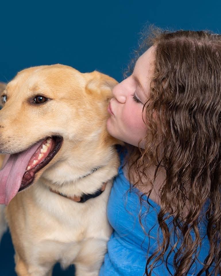 Enlarge Atlas, a Adoptable mixed breed in Tulsa, OK image 4/6