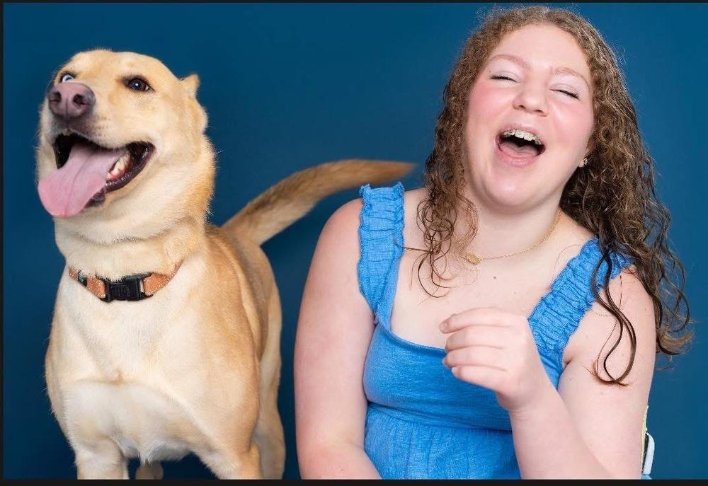 Enlarge Atlas, a Adoptable mixed breed in Tulsa, OK image 6/6