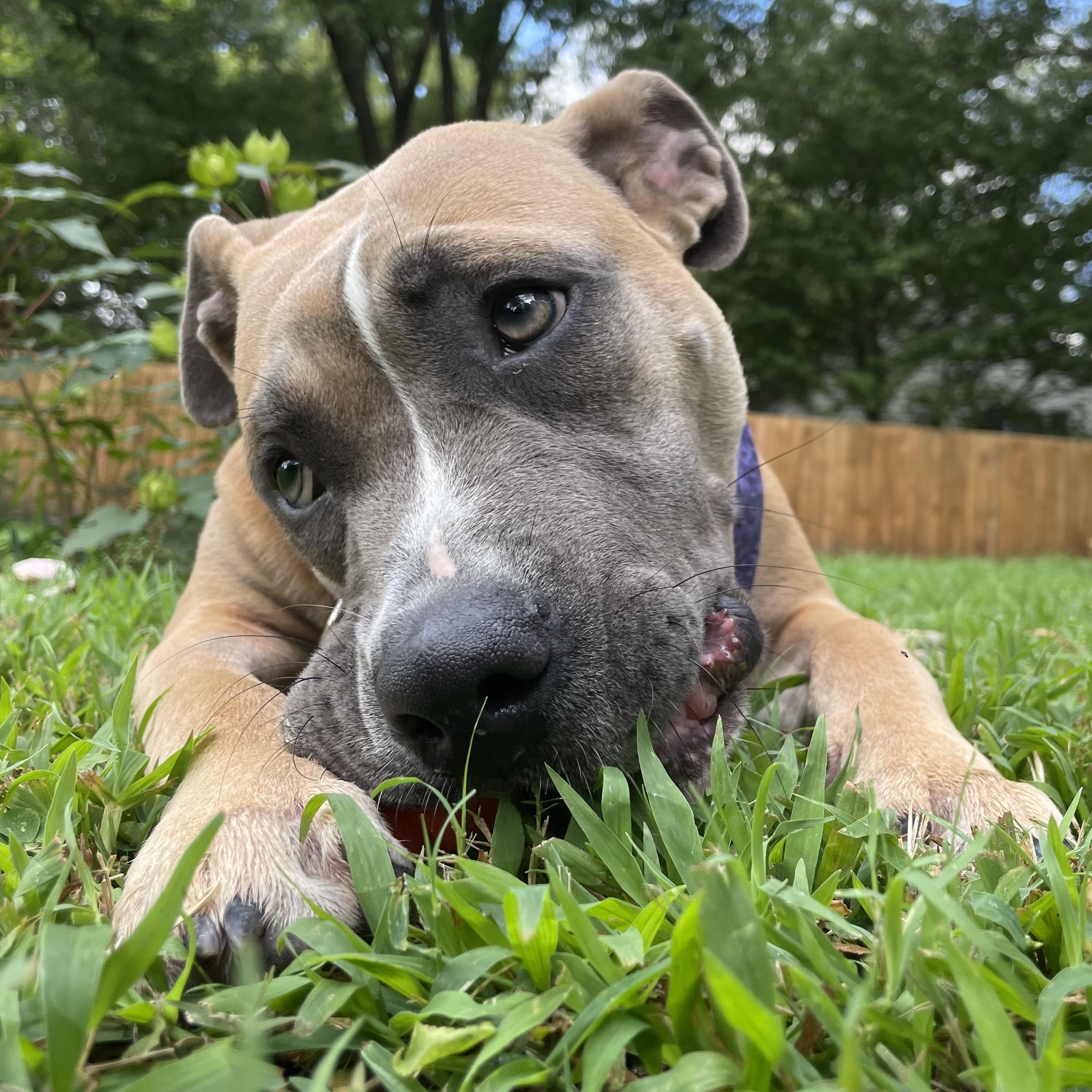 Nora