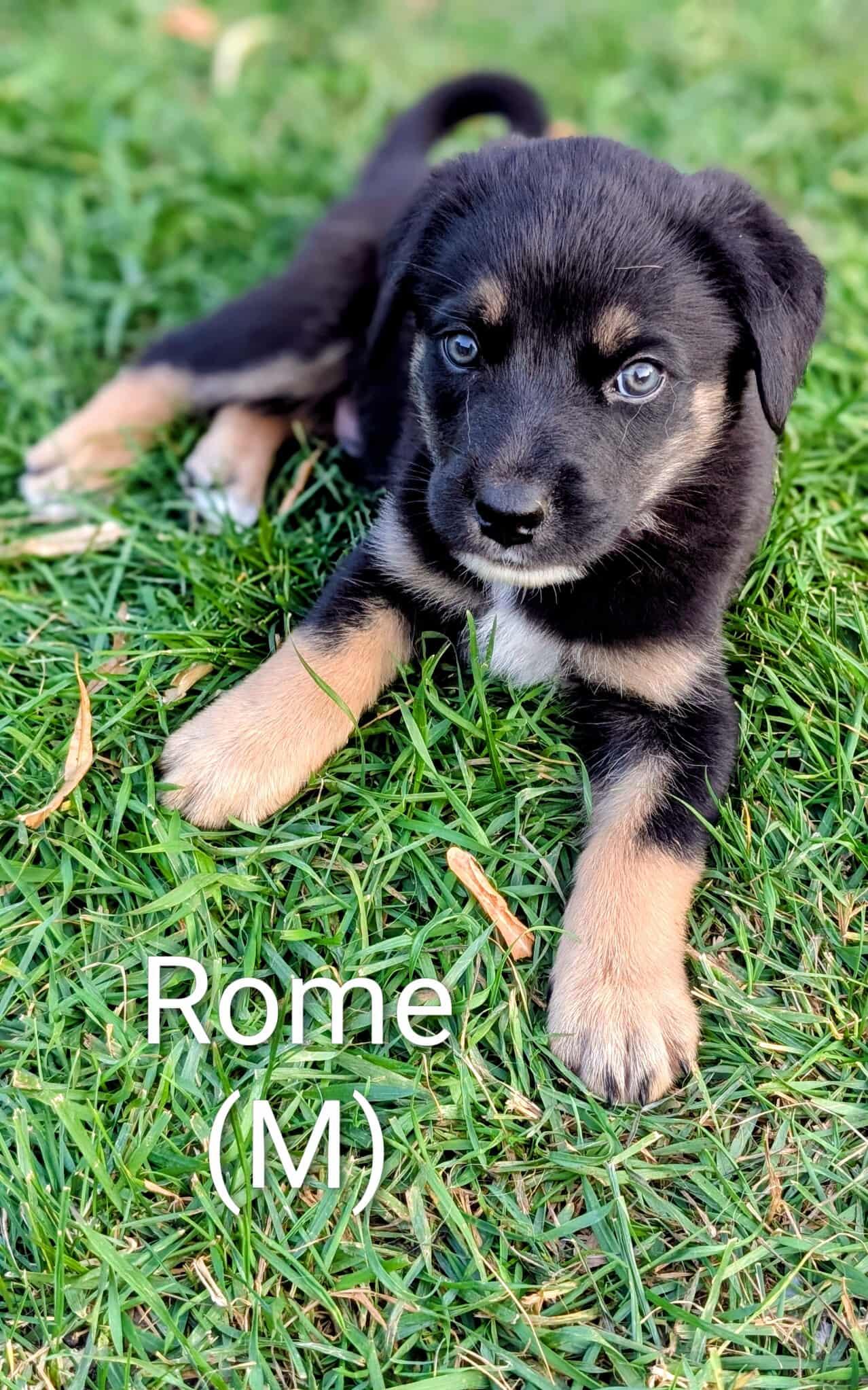 Rome