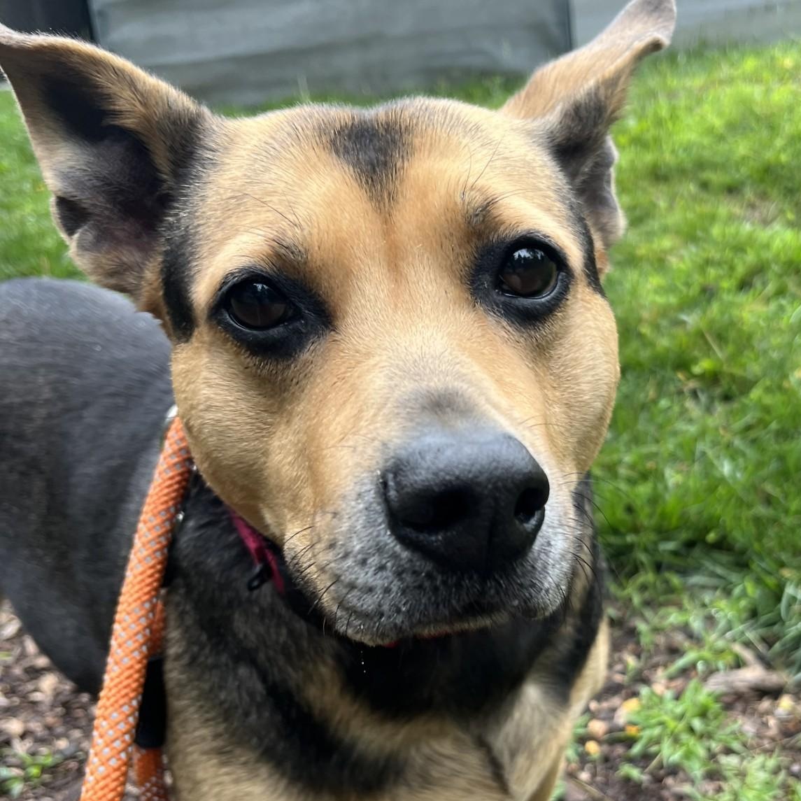 Sadie - My fee has been sponsored!