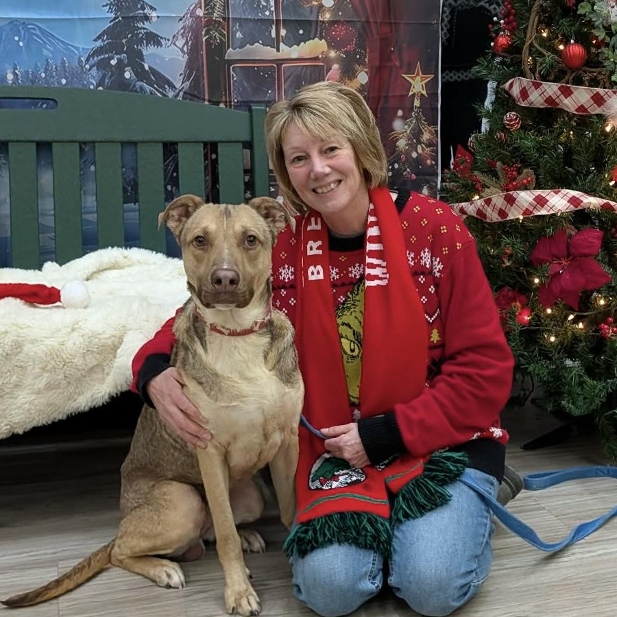 Enlarge Will, a Adoptable mixed breed in Elyria, OH image 2/6