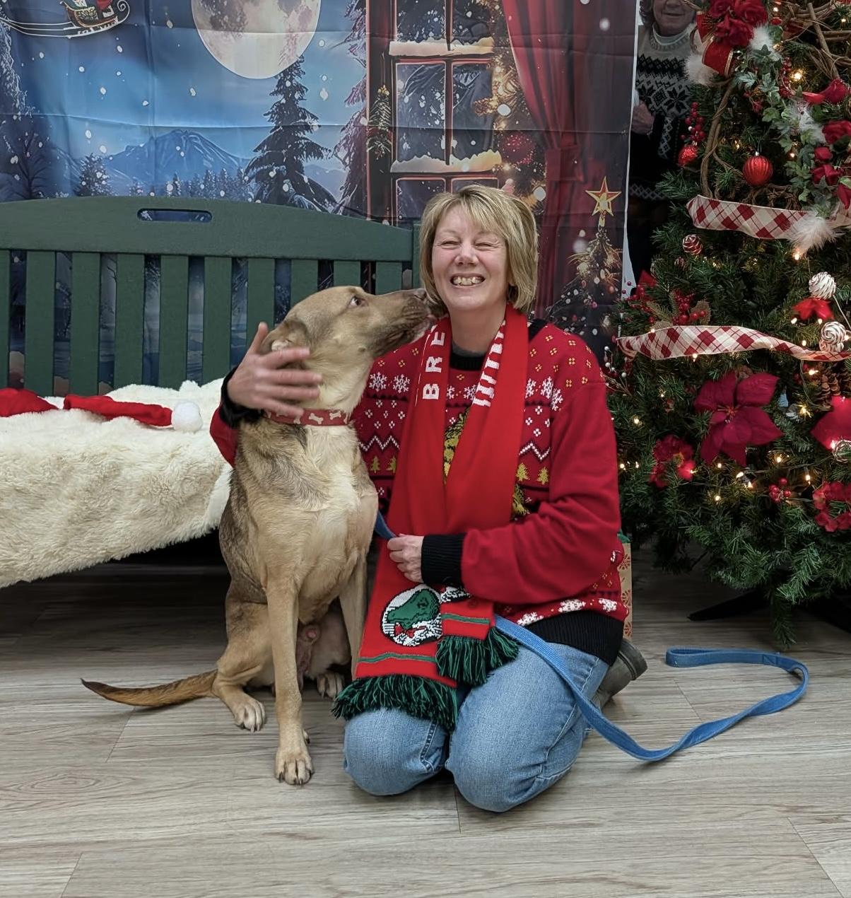 Enlarge Will, a Adoptable mixed breed in Elyria, OH image 3/6