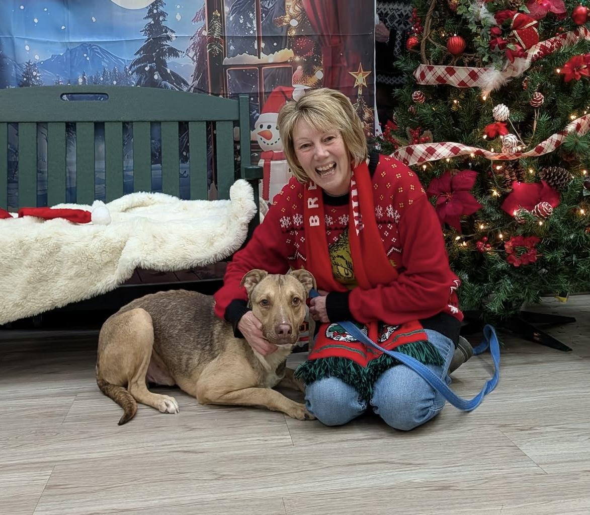 Enlarge Will, a Adoptable mixed breed in Elyria, OH image 4/6