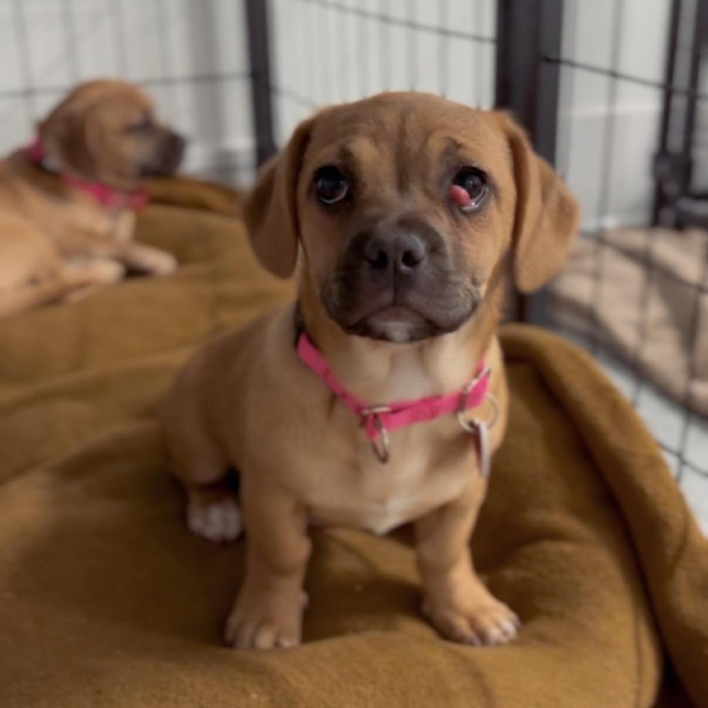 Sister A thumbnail 2