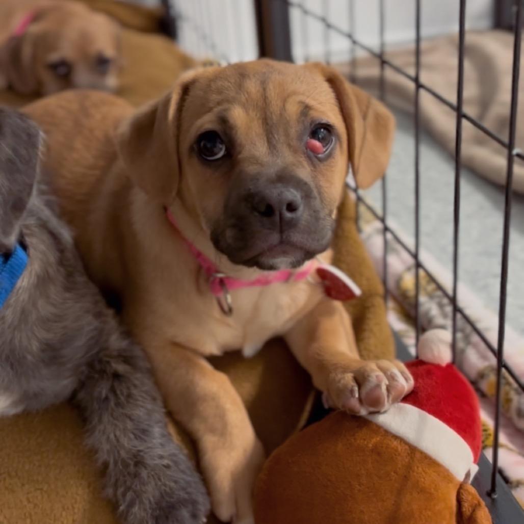 Sister A thumbnail 3