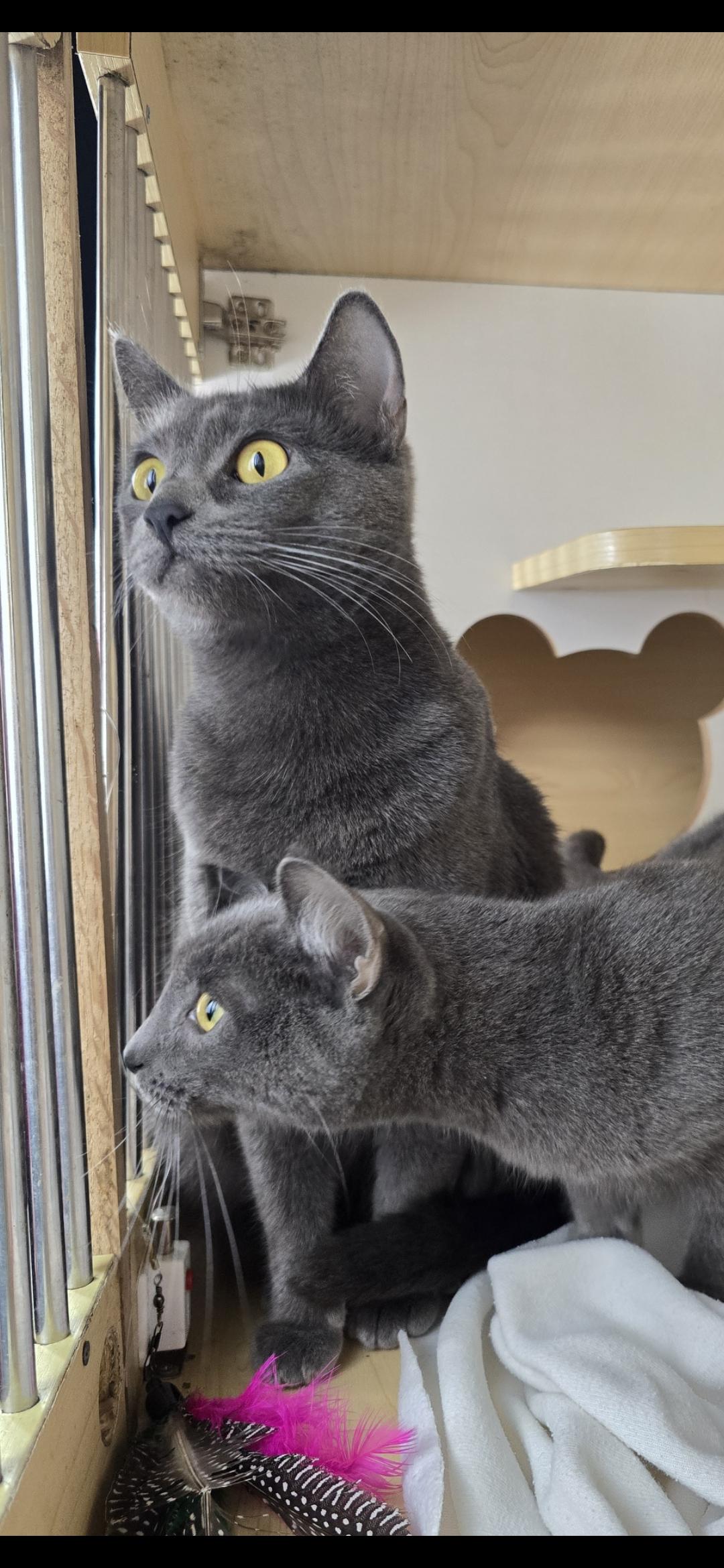 Lady Liberty thumbnail 3