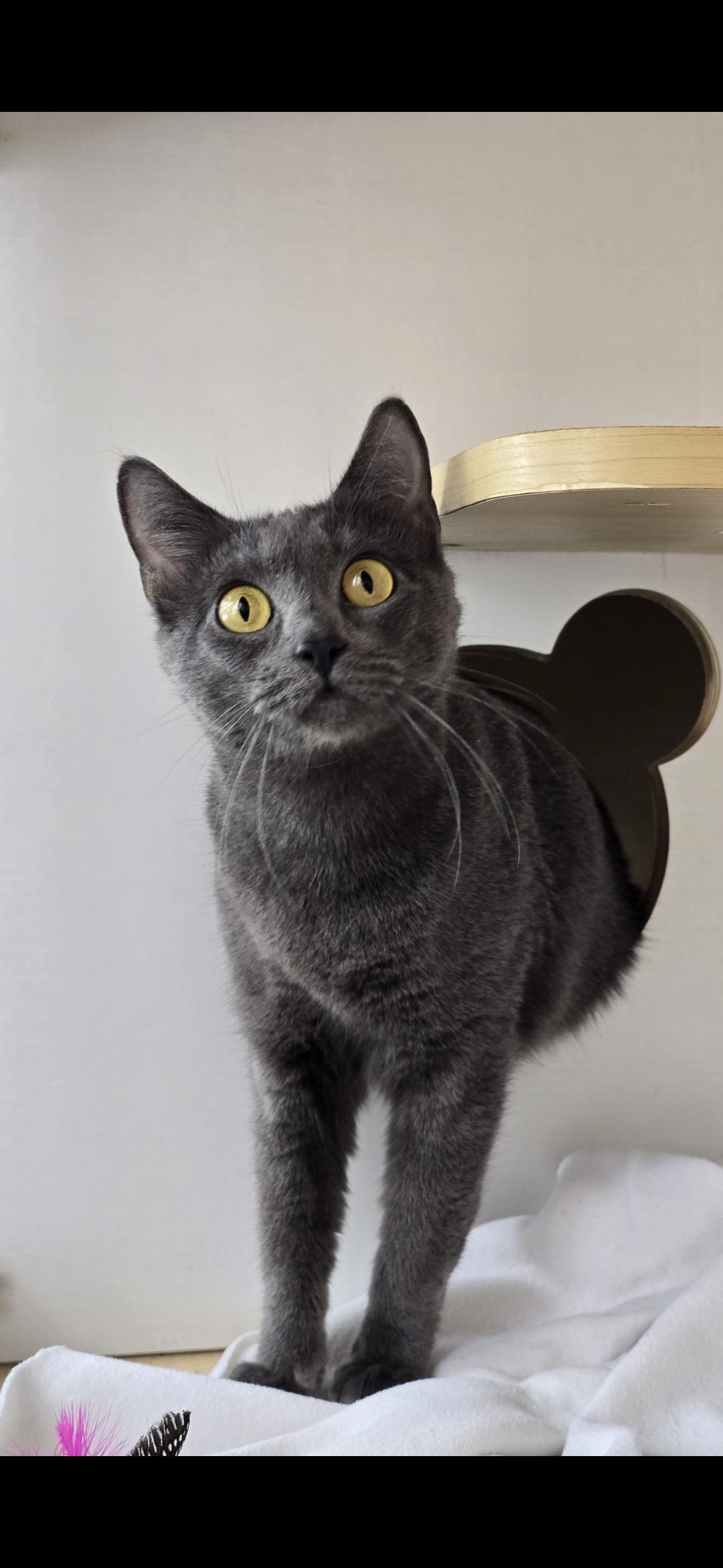 Lady Liberty thumbnail 5