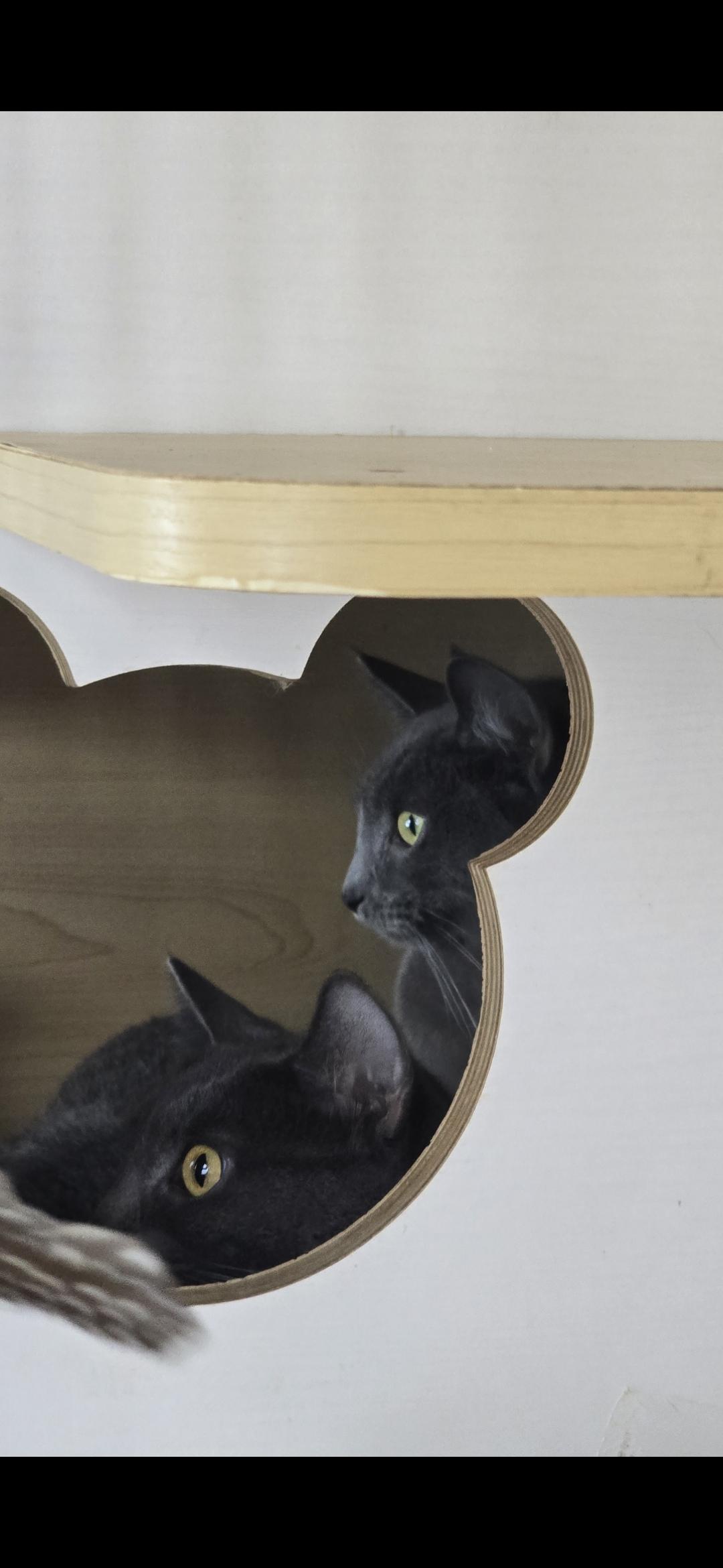 Lady Liberty thumbnail 6