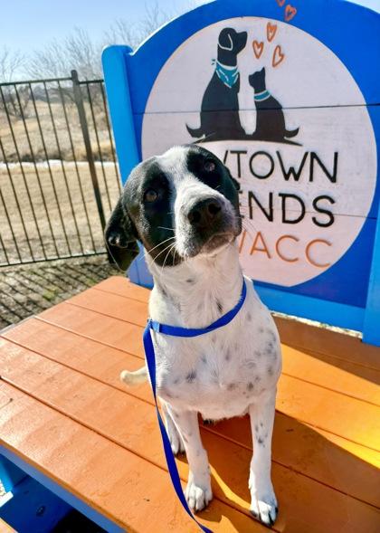 Candy — thumbnail 2