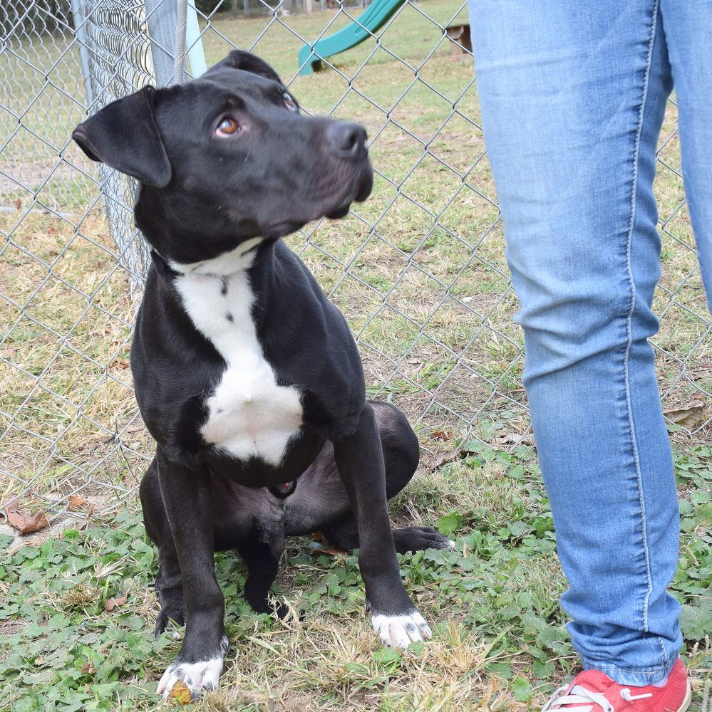 Jet