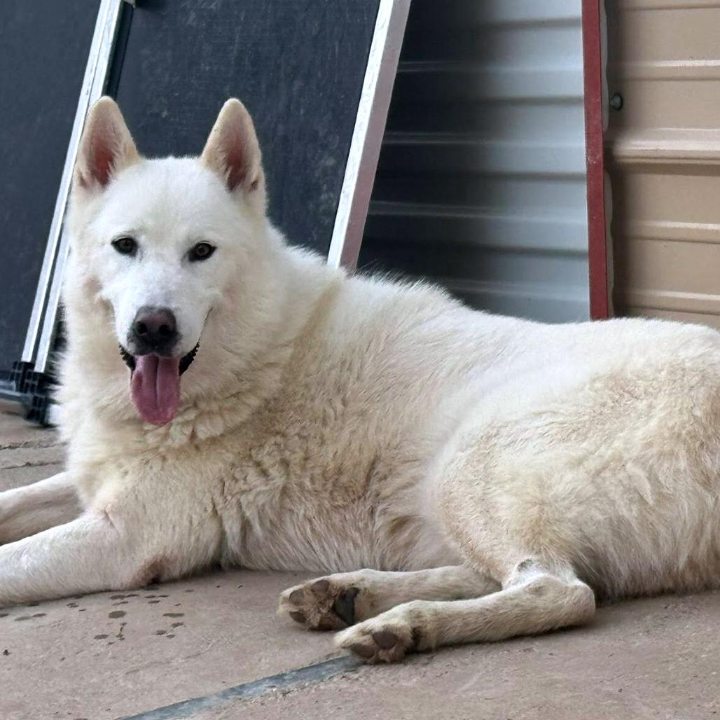 Casper — thumbnail 2