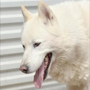 Casper — thumbnail 3