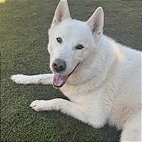 Casper — thumbnail 5