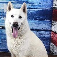 Casper — thumbnail 6