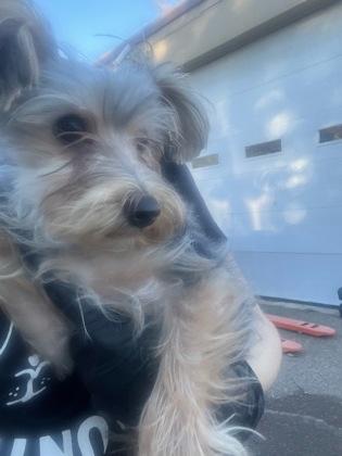 Ryder Jr. thumbnail 2