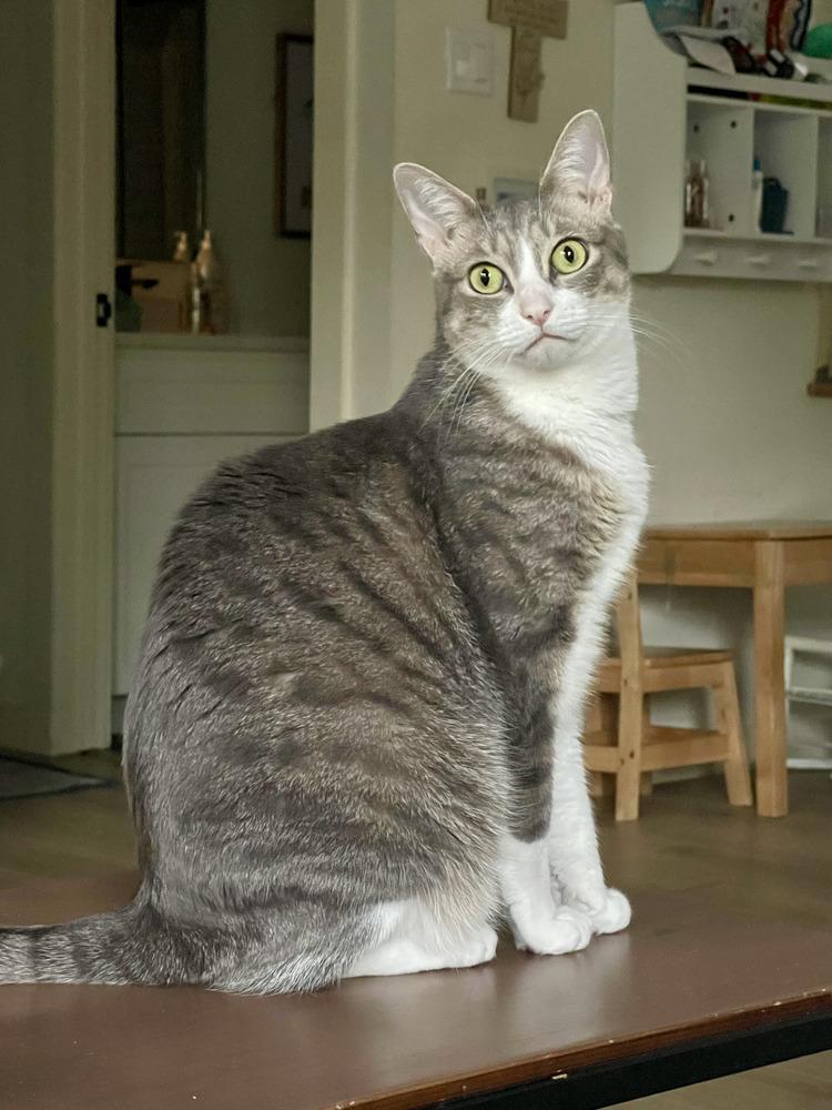 Django — thumbnail 5