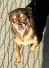 Tuna & Mack thumbnail 4