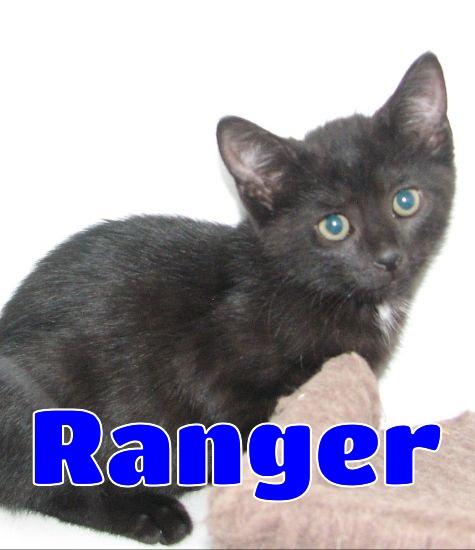 #5408 Ranger, Baby Male unknown