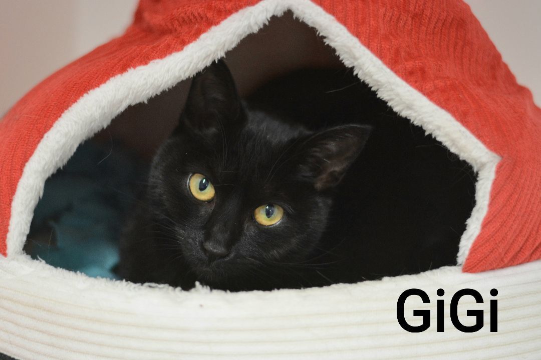 Gigi photo 2