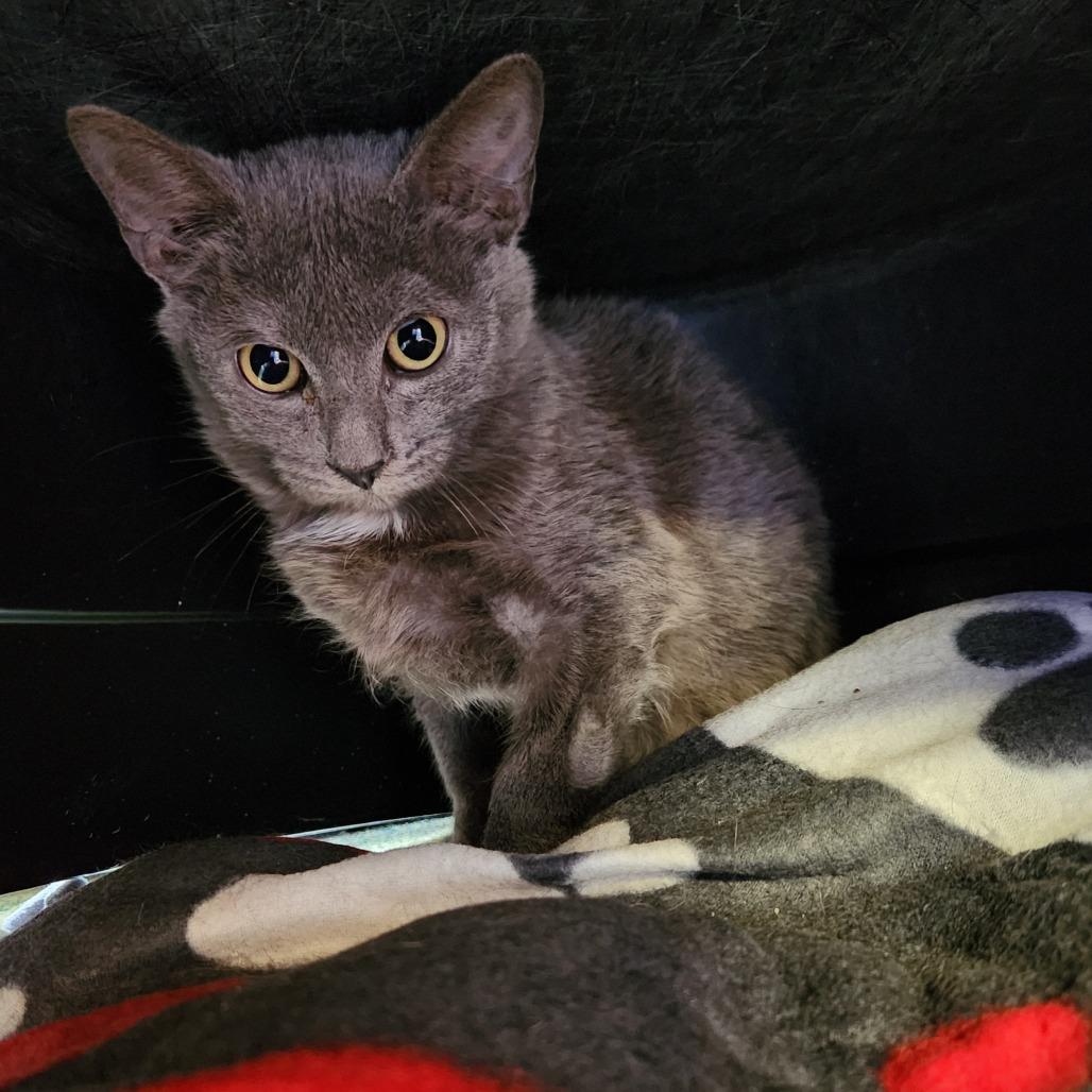 Grenada — thumbnail 2