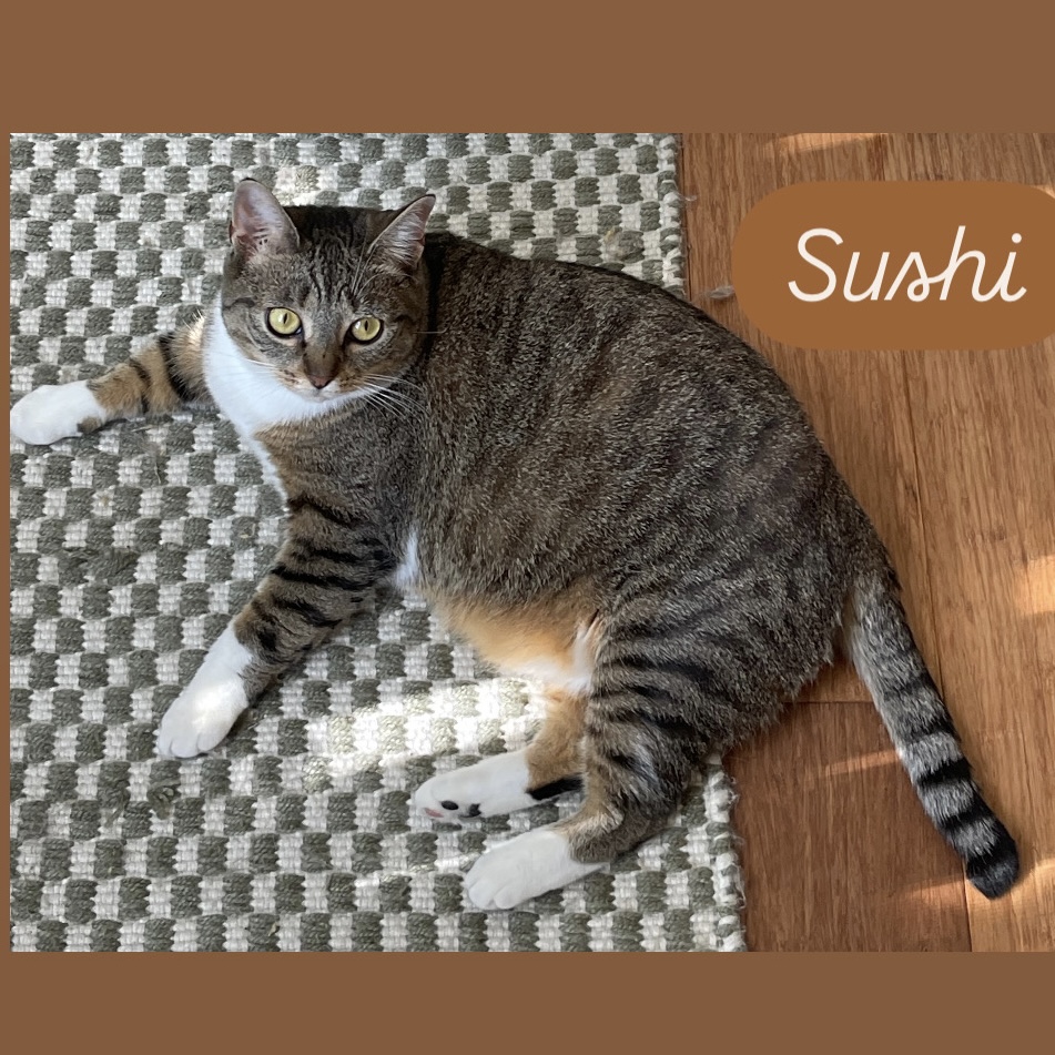 Sushi