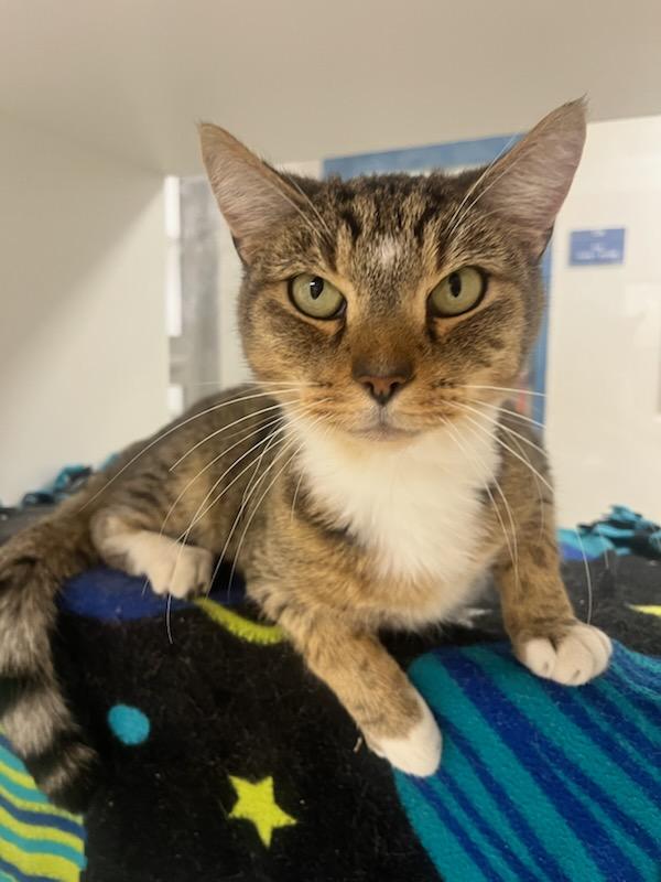 Turner (ID 48998/3671)