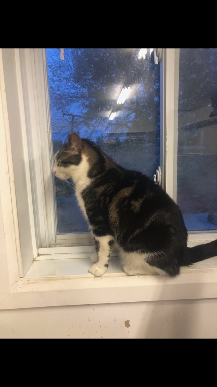 Chat photo 2