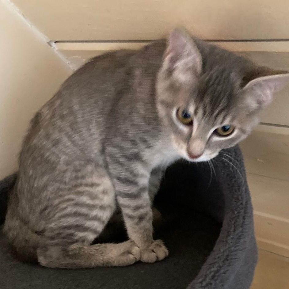 Vickie  Sweet And thumbnail 4