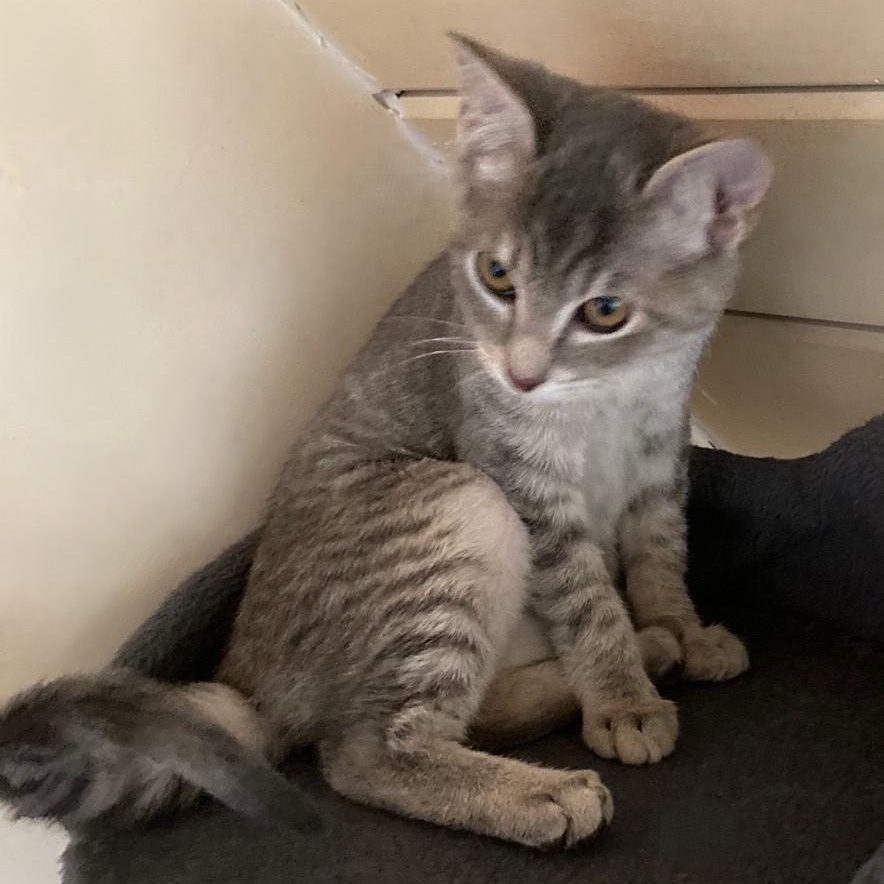 Vickie Sweet And photo 1