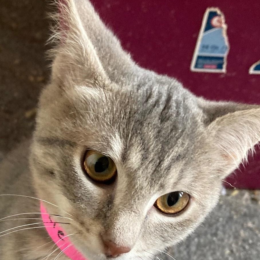 Vickie  Sweet And thumbnail 3