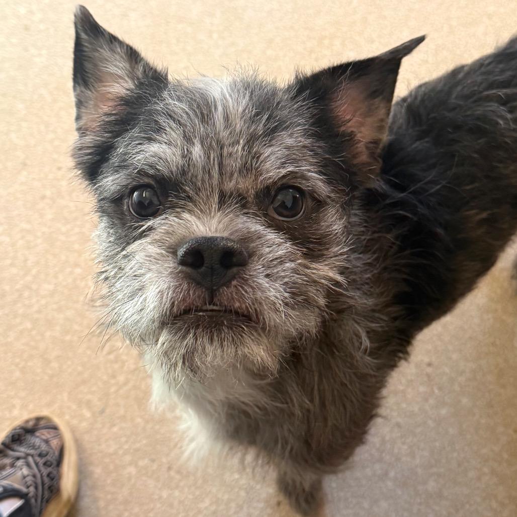 Eggo — thumbnail 2