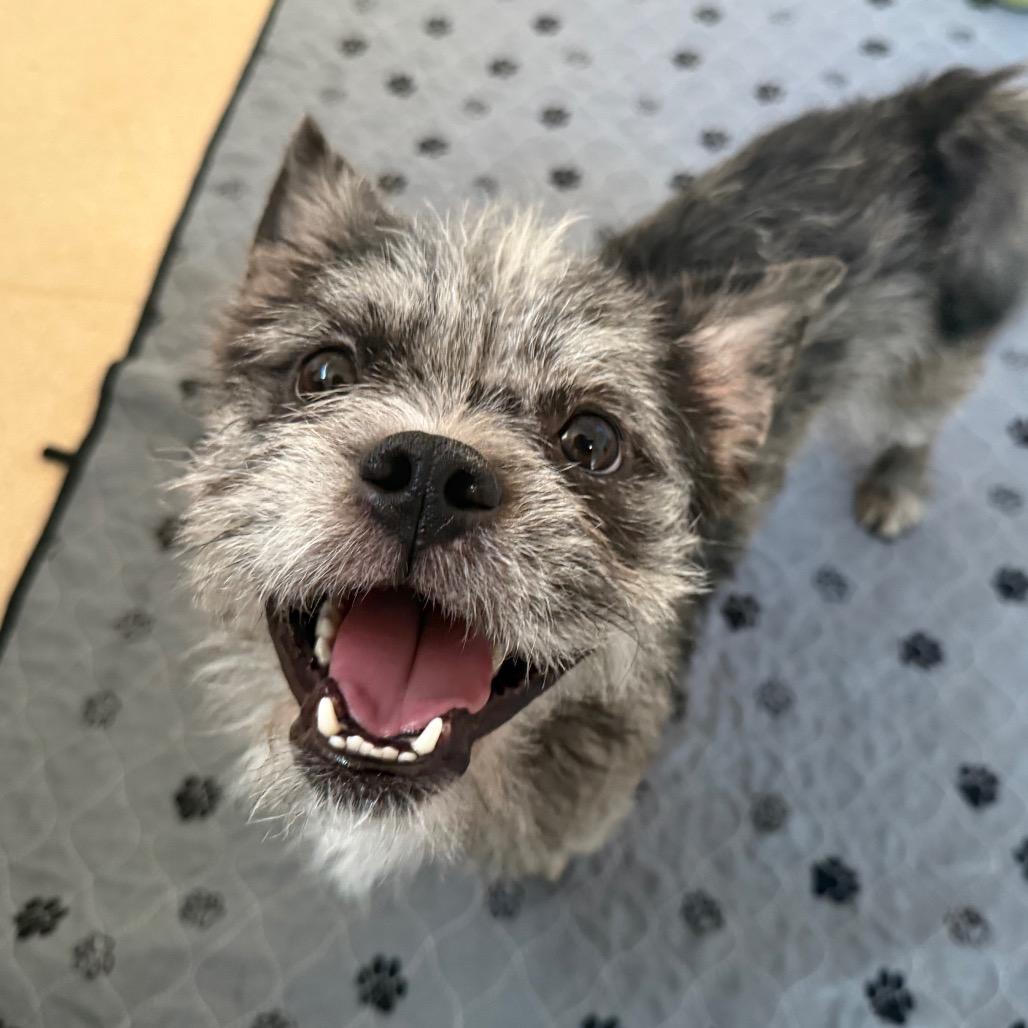 Eggo — thumbnail 3