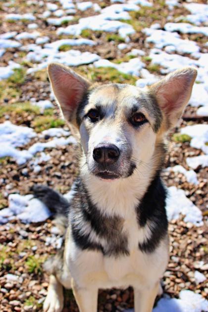 Natalia — thumbnail 2