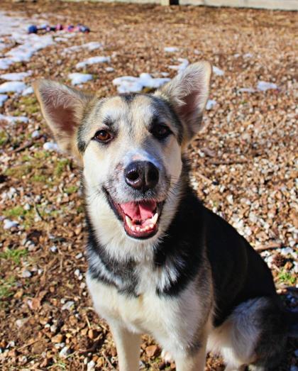 Natalia — thumbnail 3