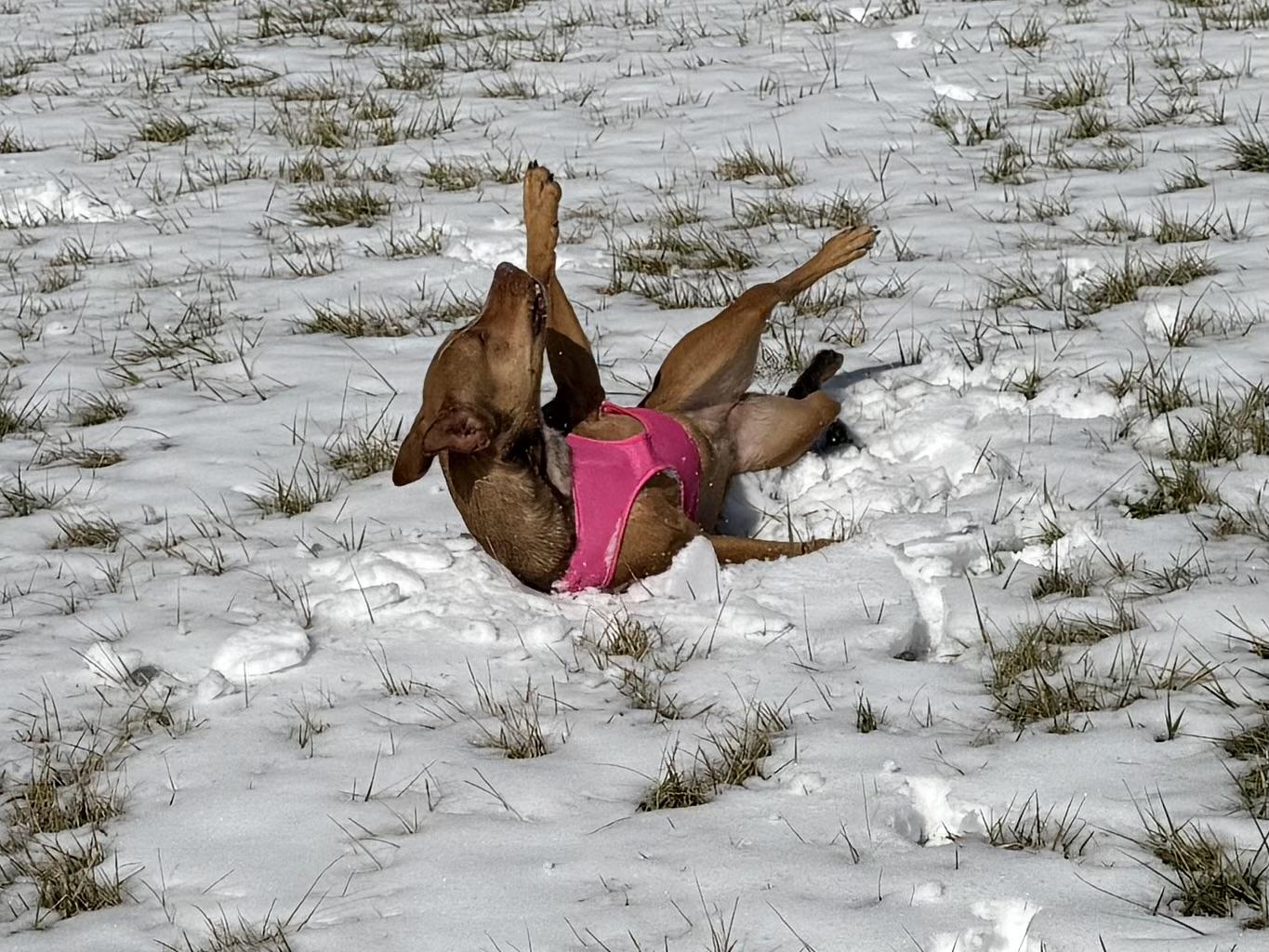 Daisy photo 5